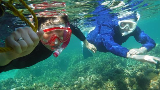 Zさんご夫婦です。