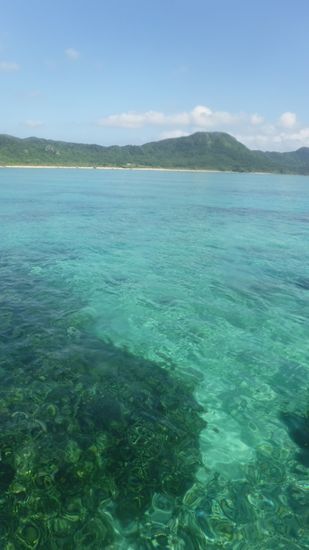 まるでプールのようなコンディションです。