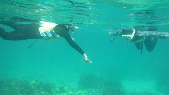 お姉さんチームも水中を満喫です。