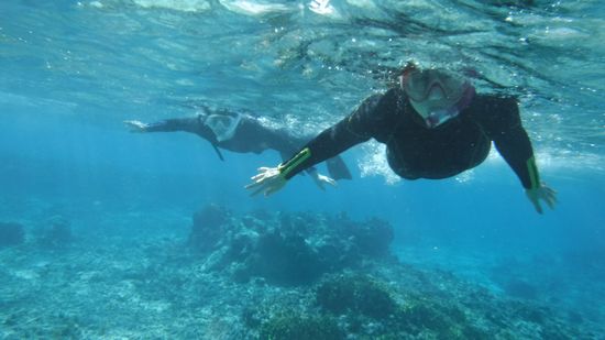 サンゴを楽しんでいるT原さんとT田さんです。