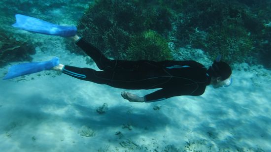 K村旦那さんも素潜りドボン