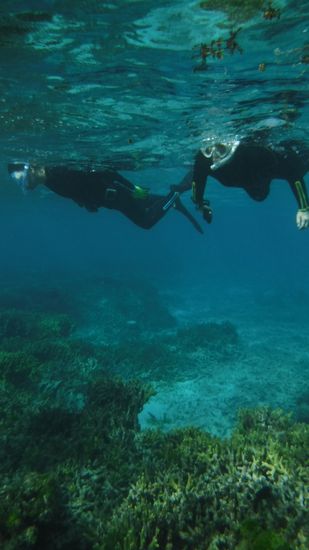 のんびりまったり楽しんでいるM島さんです。