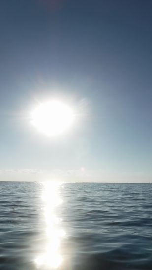 太陽ぎらぎら!です