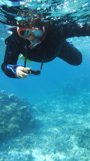 水中撮影に没頭のお母さんです。