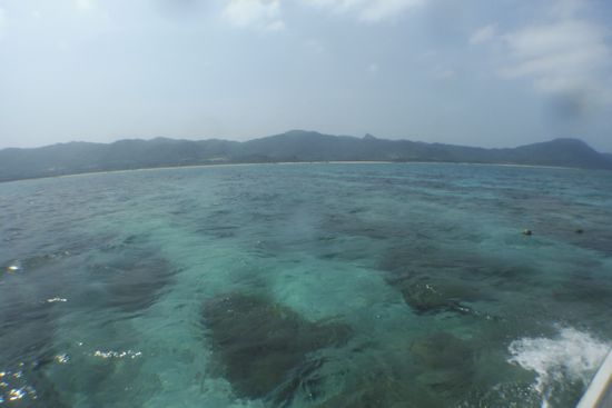 本日も快晴の石垣島です