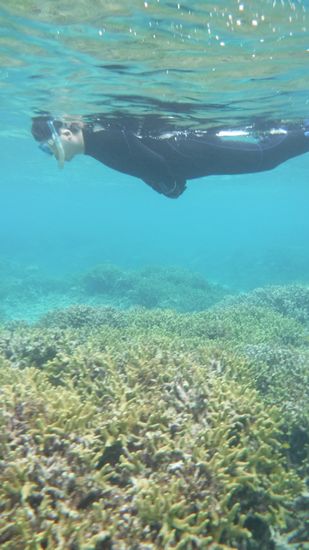 サンゴビッチリを楽しむN村さん