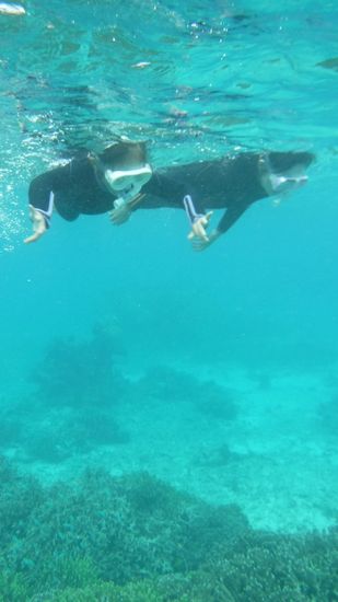 エントリーとともに、すいすい泳ぎ始めていきます。