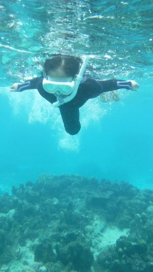 まるであられちゃんのようにBダッシュです。