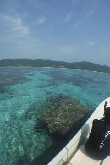 本日も快晴です