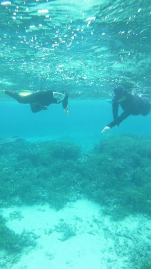 リピーターTさんご夫婦です。