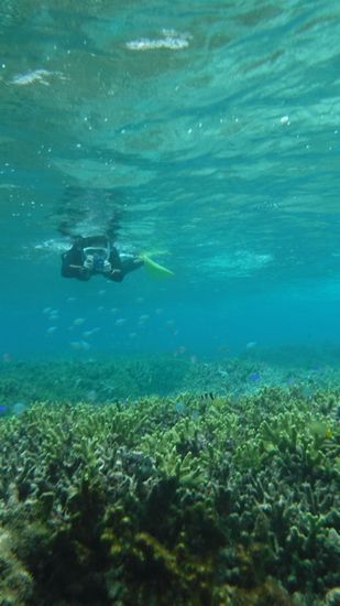 カメラを構えて、撮影に没頭の奥さんです。