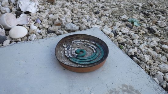 朝から蚊取り線香をたいて、格闘です