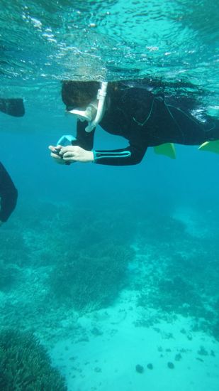 レンタルカメラで水中を激写している奥さんです。