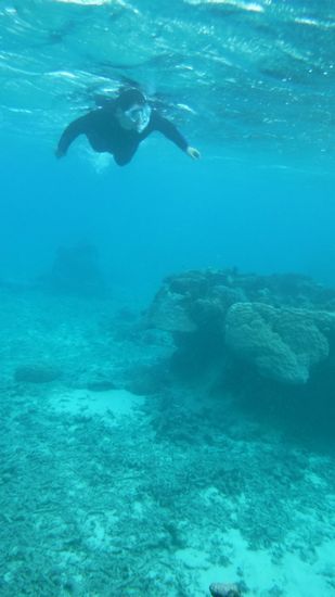 慣れれば、パワフルフィンキックの旦那さんです。