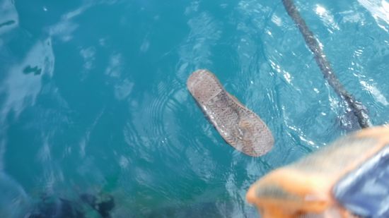 本日二回目ですよ。。