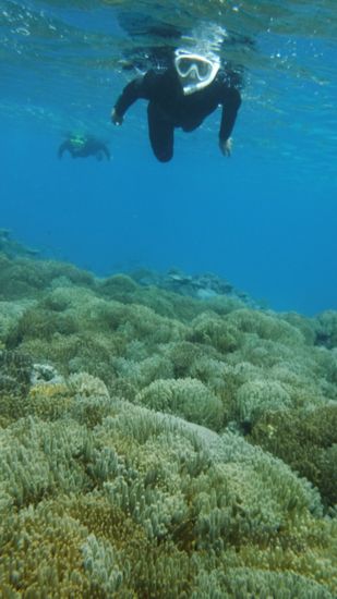 もくもく泳ぐお兄さん