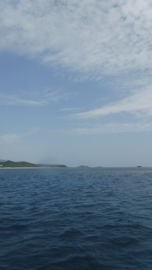 本日晴れとなりました