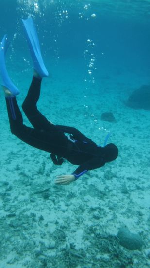 お父さんは、素潜りにもトライです