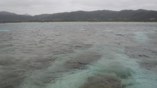 風が冷たい一日でした。