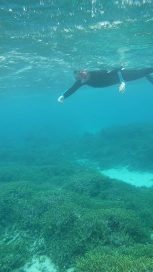 シュノーケリングの極意は、浮いているだけです。