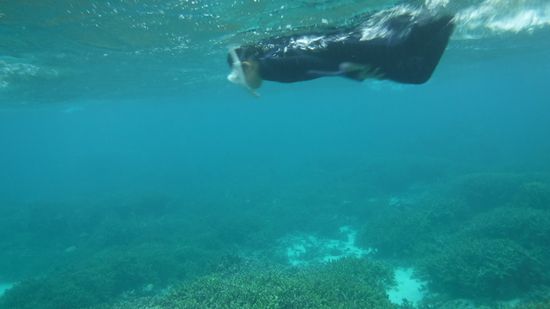 これだけ慣れれば、もう大丈夫！ヒナちゃんです。