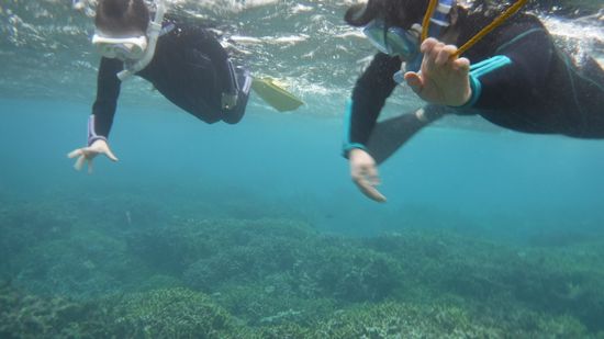 ヒナちゃんとおばあちゃんです。