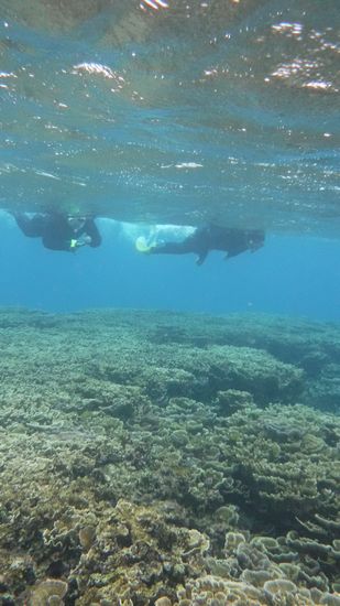 リピーターT村さんご姉妹です。