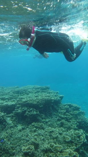 お姉さんも楽勝の泳ぎです。