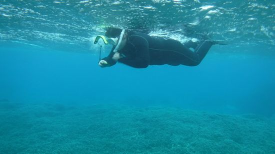 水中カメラで撮影を楽しんでいます。