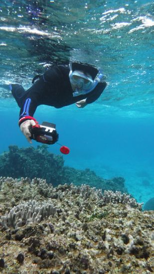 鉄人K野さんです。