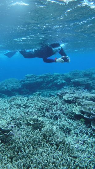 写真撮影に没頭