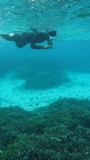 サンゴビッチリコースを楽しんでいます。