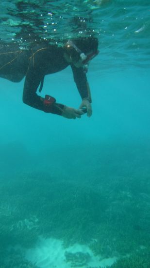 すぐにすいすい泳ぎ始めていきます。