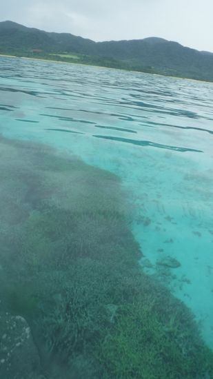 まるでプールです。