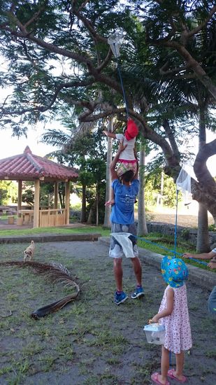 父ちゃん、頑張っています。