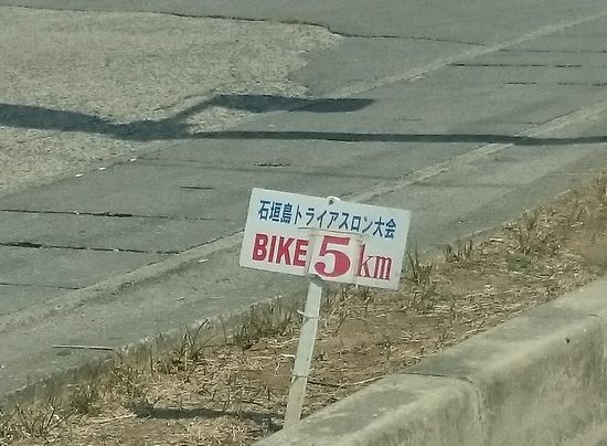 今週末は、トライアスロン大会ですね