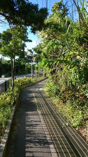 写真では写らないもの