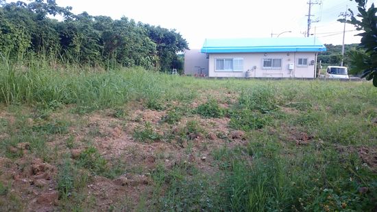 おうちの隣の空き地