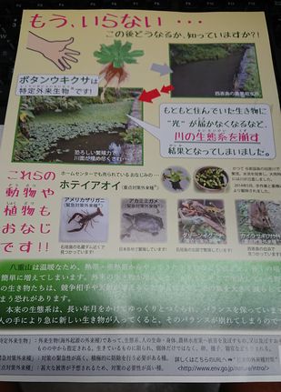 もらってきたプリント