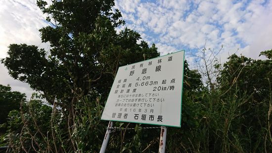 石垣島北部の野底林道