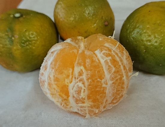 そのまま食べても甘いです