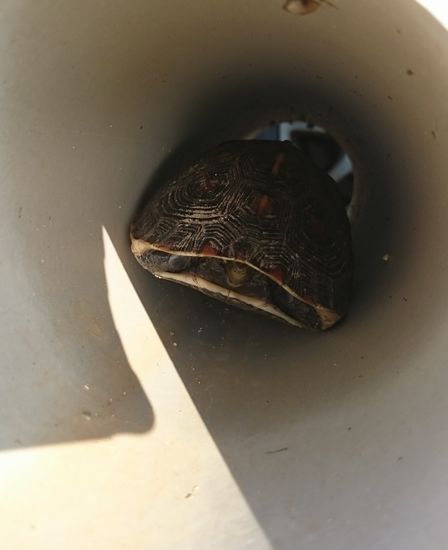 パイプの中で動けない?