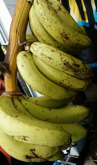 これは台湾バナナ