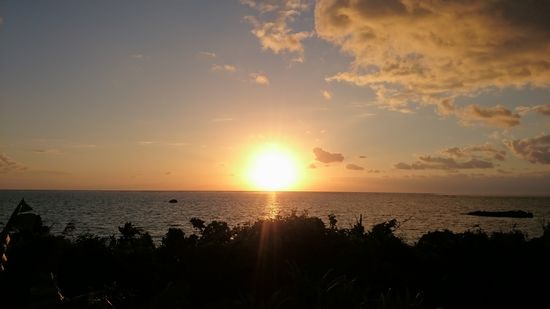 朝日も絶好調の年始です。