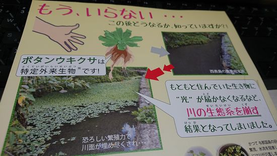 環境保全は、身近なところから