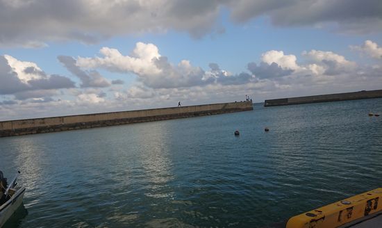 夕方、港では。