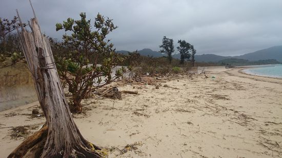 台風後のビーチは。。。
