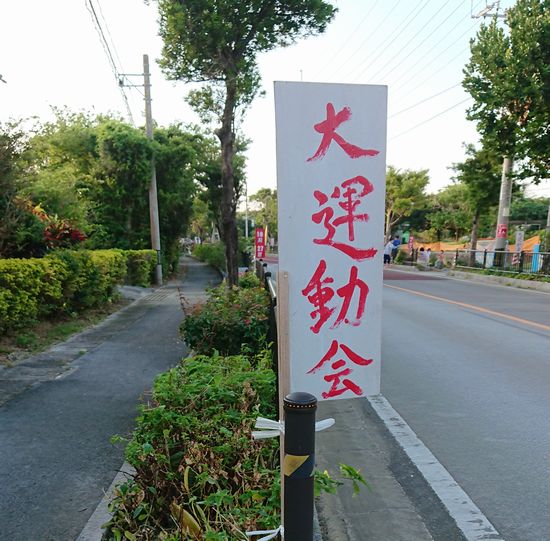 今週末は運動家