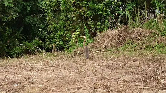 顔の角度が変わると発見ですね