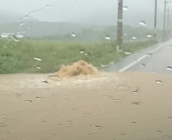 溝からは、水があふれかえっています。